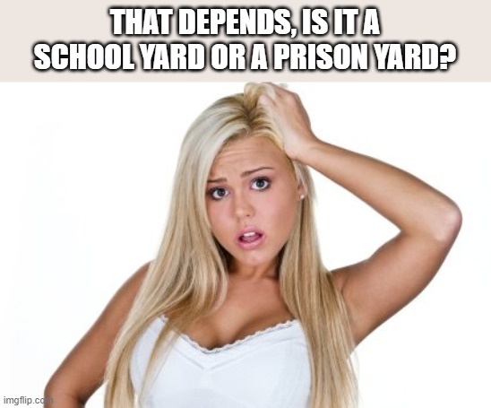 Dumb Blonde | THAT DEPENDS, IS IT A SCHOOL YARD OR A PRISON YARD? | image tagged in dumb blonde | made w/ Imgflip meme maker