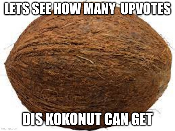 I CALLENGE YALL | LETS SEE HOW MANY  UPVOTES; DIS KOKONUT CAN GET | image tagged in lol | made w/ Imgflip meme maker