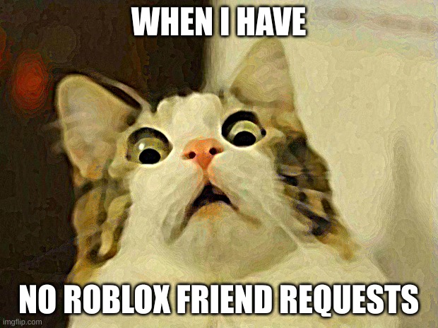 Scared Cat | WHEN I HAVE; NO ROBLOX FRIEND REQUESTS | image tagged in memes,scared cat | made w/ Imgflip meme maker