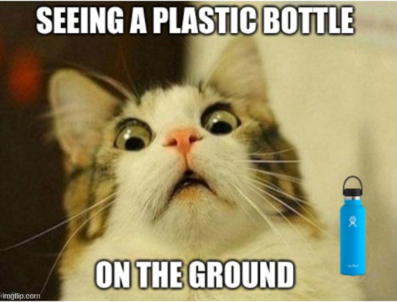 image tagged in school | made w/ Imgflip meme maker