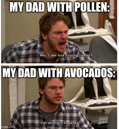 Andy I'm not crying | MY DAD WITH POLLEN:; MY DAD WITH AVOCADOS: | image tagged in andy i'm not crying | made w/ Imgflip meme maker