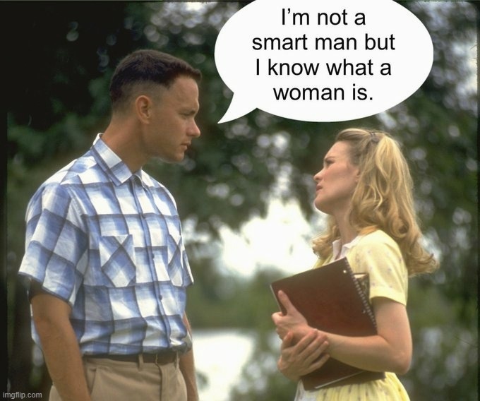 image tagged in forest gump,woman,supreme court,judge jackson,alabama | made w/ Imgflip meme maker