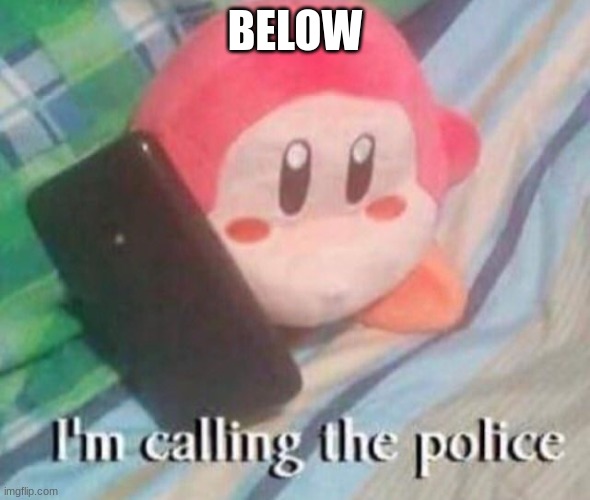 Waddle Dee calls the Police | BELOW | image tagged in waddle dee calls the police | made w/ Imgflip meme maker