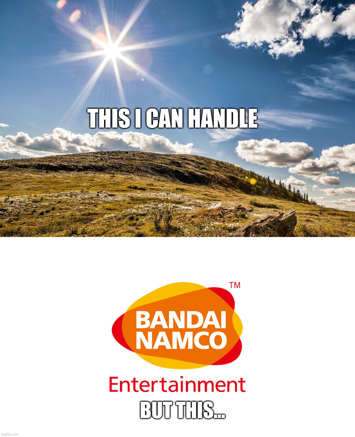 Elden Ring blinding startup | THIS I CAN HANDLE; BUT THIS... | image tagged in video games,blind,sun | made w/ Imgflip meme maker