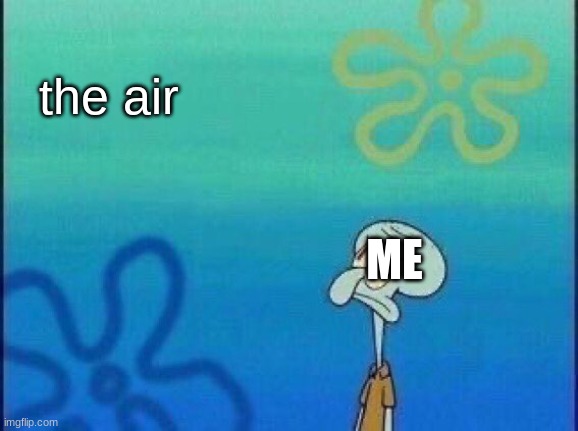 Squidward Staring | the air; ME | image tagged in squidward staring | made w/ Imgflip meme maker