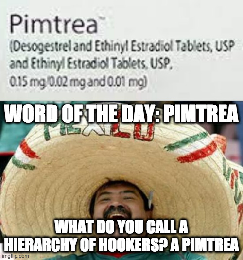Pimtrea | WORD OF THE DAY: PIMTREA; WHAT DO YOU CALL A HIERARCHY OF HOOKERS? A PIMTREA | image tagged in mexican word of the day,pimtrea,pharmacyphun,pharmacy | made w/ Imgflip meme maker