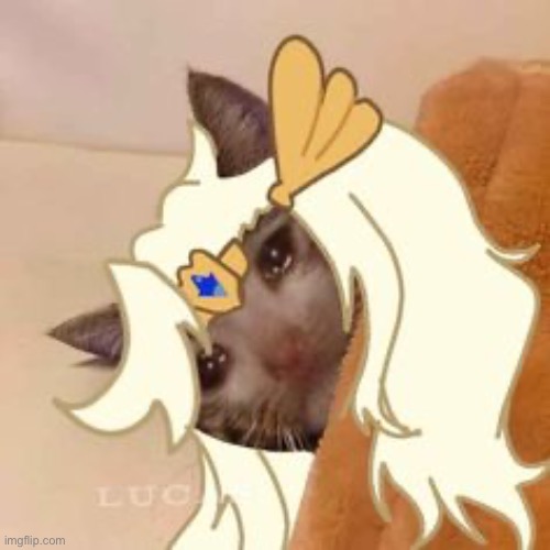 is he | made w/ Imgflip meme maker
