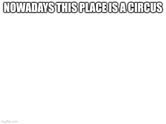 Salt | NOWADAYS THIS PLACE IS A CIRCUS | image tagged in blank white template | made w/ Imgflip meme maker