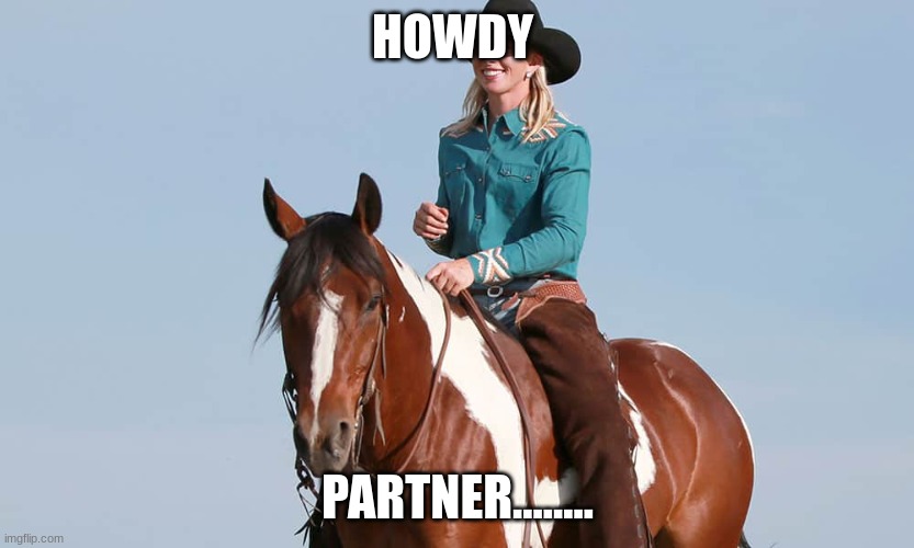 Cow girl\ | HOWDY; PARTNER........ | image tagged in cow girl,meme | made w/ Imgflip meme maker