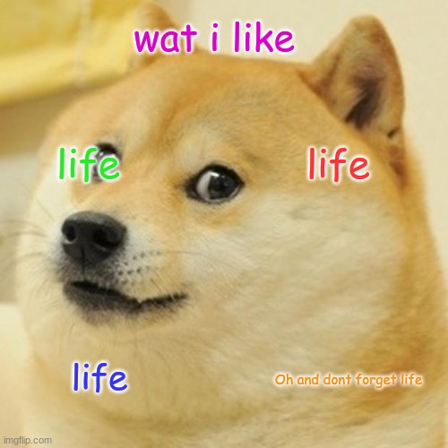 Doge | wat i like; life; life; life; Oh and dont forget life | image tagged in memes,doge | made w/ Imgflip meme maker