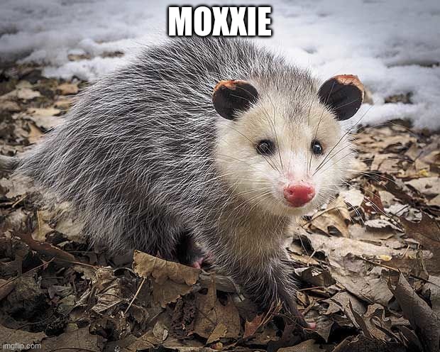 Ep3 Moxxie | MOXXIE | image tagged in helluva boss | made w/ Imgflip meme maker