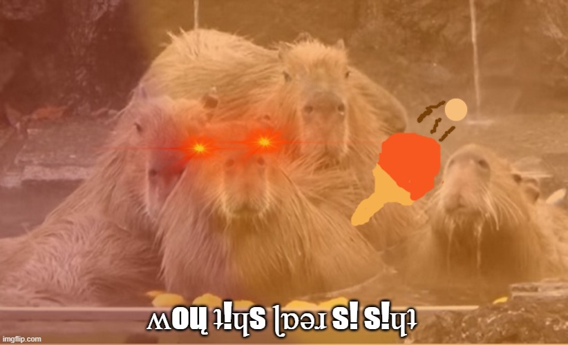 ʍoų ʇ!ɥs ɭɒəɹ s! s!ɥʇ | made w/ Imgflip meme maker