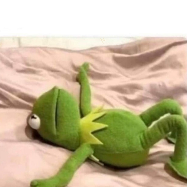 Tired Kermit Blank Meme Template