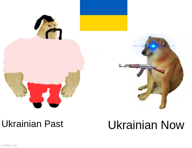 past vs now | Ukrainian Now; Ukrainian Past | image tagged in memes,buff doge vs cheems | made w/ Imgflip meme maker