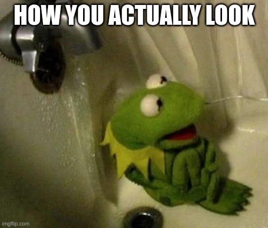 Kermit on Shower | HOW YOU ACTUALLY LOOK | image tagged in kermit on shower | made w/ Imgflip meme maker