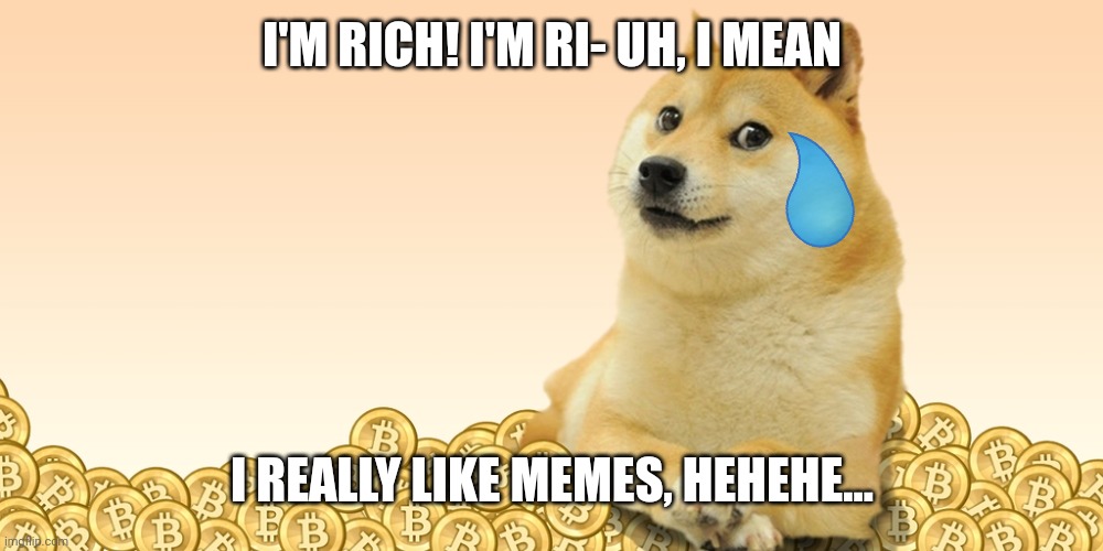 Doge Coin | I'M RICH! I'M RI- UH, I MEAN; I REALLY LIKE MEMES, HEHEHE... | image tagged in doge coin | made w/ Imgflip meme maker
