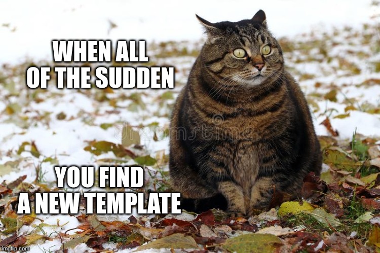 turn that fat cat into a fit cat | WHEN ALL OF THE SUDDEN; YOU FIND A NEW TEMPLATE | image tagged in fat cat | made w/ Imgflip meme maker