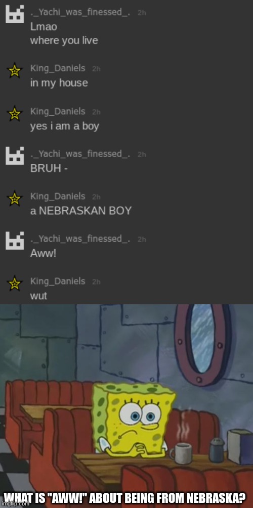 WHAT IS "AWW!" ABOUT BEING FROM NEBRASKA? | image tagged in spongebob waiting | made w/ Imgflip meme maker