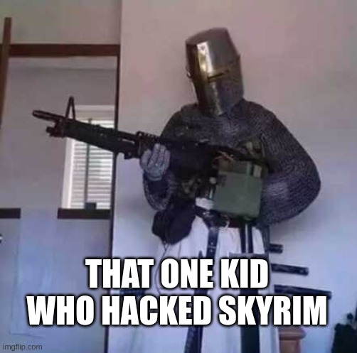 cool title goes here | THAT ONE KID WHO HACKED SKYRIM | image tagged in tag,tags | made w/ Imgflip meme maker