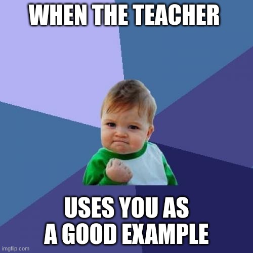 Success Kid Meme | WHEN THE TEACHER; USES YOU AS A GOOD EXAMPLE | image tagged in memes,success kid | made w/ Imgflip meme maker