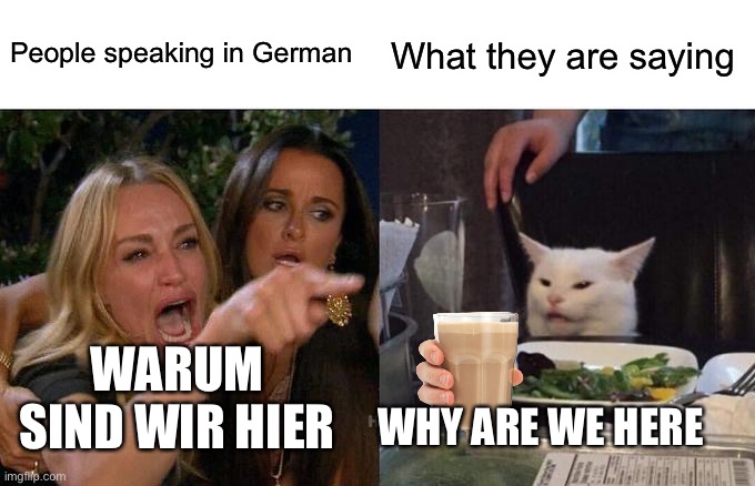 Woman Yelling At Cat | People speaking in German; What they are saying; WARUM SIND WIR HIER; WHY ARE WE HERE | image tagged in memes,woman yelling at cat | made w/ Imgflip meme maker