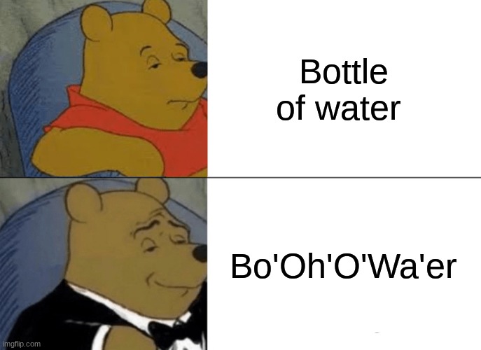 Bo'Oh'O'Wa'er | Bottle of water; Bo'Oh'O'Wa'er | image tagged in memes,tuxedo winnie the pooh | made w/ Imgflip meme maker