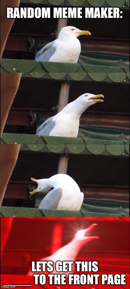 Inhaling Seagull | RANDOM MEME MAKER:; LETS GET THIS ____ TO THE FRONT PAGE | image tagged in memes,inhaling seagull | made w/ Imgflip meme maker