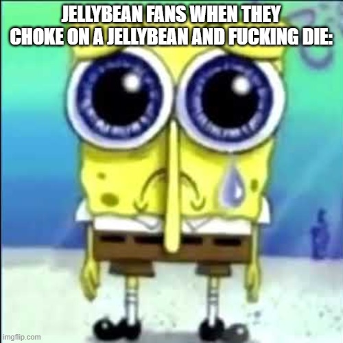 Sad Spongebob | JELLYBEAN FANS WHEN THEY CHOKE ON A JELLYBEAN AND FUCKING DIE: | image tagged in sad spongebob | made w/ Imgflip meme maker