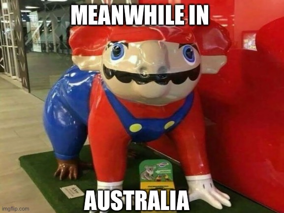 E | MEANWHILE IN; AUSTRALIA | image tagged in australia | made w/ Imgflip meme maker