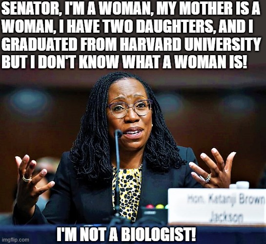 Ketanji Brown-Jackson is not a biologist | SENATOR, I'M A WOMAN, MY MOTHER IS A
WOMAN, I HAVE TWO DAUGHTERS, AND I
GRADUATED FROM HARVARD UNIVERSITY 
BUT I DON'T KNOW WHAT A WOMAN IS! I'M NOT A BIOLOGIST! | image tagged in political humor,scotus,senators,woman,university,biologist | made w/ Imgflip meme maker