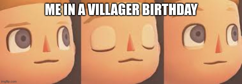 ME IN A VILLAGER BIRTHDAY | image tagged in animal crossing | made w/ Imgflip meme maker