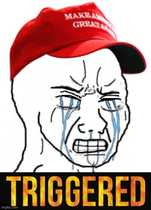 TRIGGERED MAGAt | image tagged in triggered,magat,maga,snowflakes,echo chamber,safe space | made w/ Imgflip meme maker