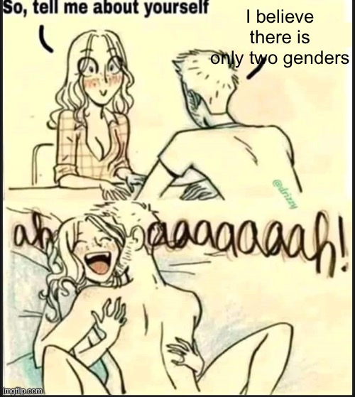 tell me about yourself better | I believe there is only two genders | image tagged in tell me about yourself better | made w/ Imgflip meme maker
