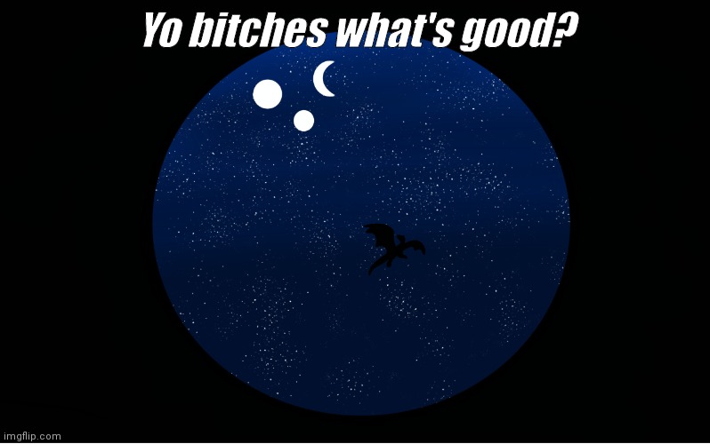 Stary days | Yo bitches what's good? | image tagged in stary days | made w/ Imgflip meme maker