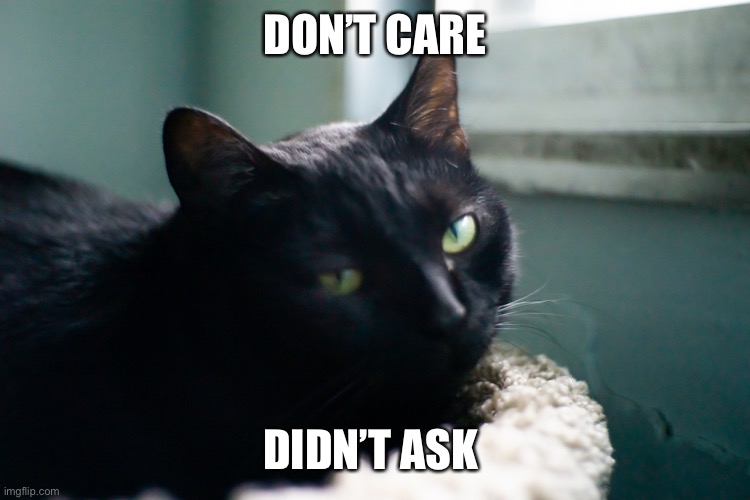 Don’t Care Didn’t Ask | DON’T CARE; DIDN’T ASK | image tagged in don t care didn t ask,vanillabizcotti,sarlah,sarlahthecat,sarlahkitty | made w/ Imgflip meme maker