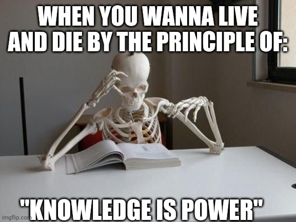 death by studying | WHEN YOU WANNA LIVE AND DIE BY THE PRINCIPLE OF:; "KNOWLEDGE IS POWER" | image tagged in death by studying | made w/ Imgflip meme maker