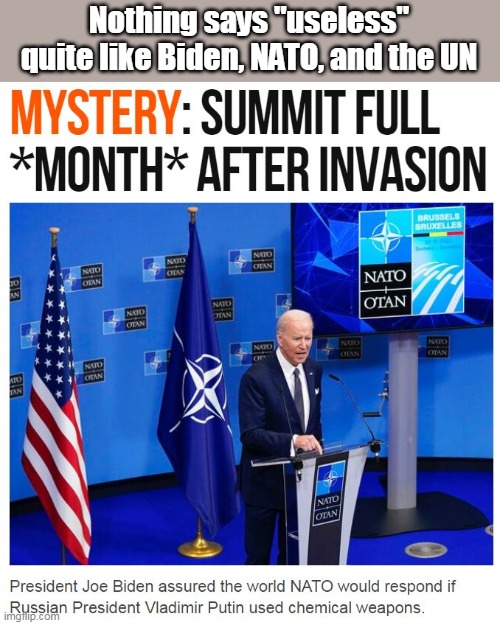 Some things aren't 'better late than never'. | Nothing says "useless" quite like Biden, NATO, and the UN | image tagged in incompetence,war,creepy joe biden,sleepy,disaster | made w/ Imgflip meme maker