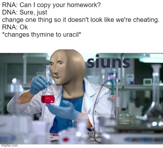 haha protein synthesis go brrr | RNA: Can I copy your homework?
DNA: Sure, just change one thing so it doesn't look like we're cheating.
RNA: Ok
*changes thymine to uracil* | image tagged in meme man science,dna,biology,science,homework,memes | made w/ Imgflip meme maker