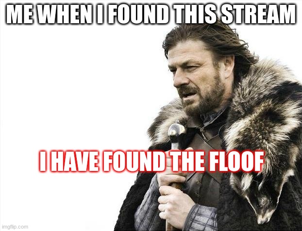 My people | ME WHEN I FOUND THIS STREAM; I HAVE FOUND THE FLOOF | image tagged in memes,brace yourselves x is coming | made w/ Imgflip meme maker