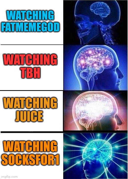 Expanding Brain Meme | WATCHING FATMEMEGOD; WATCHING TBH; WATCHING JUICE; WATCHING SOCKSFOR1 | image tagged in memes,expanding brain,Socksfor1Submissions | made w/ Imgflip meme maker