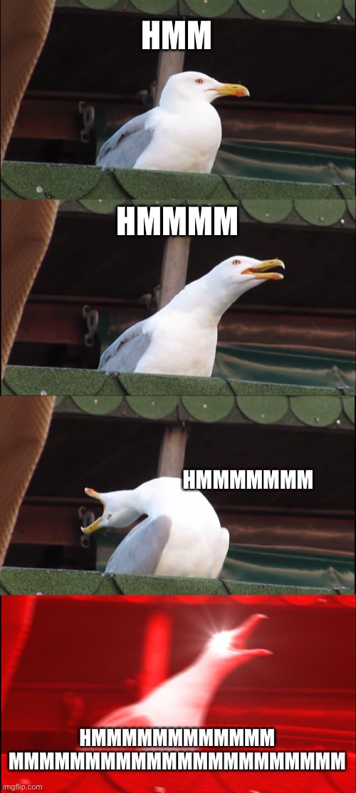 *inhales* | HMM; HMMMM; HMMMMMMM; HMMMMMMMMMMMM MMMMMMMMMMMMMMMMMMMMMM | image tagged in memes,inhaling seagull | made w/ Imgflip meme maker