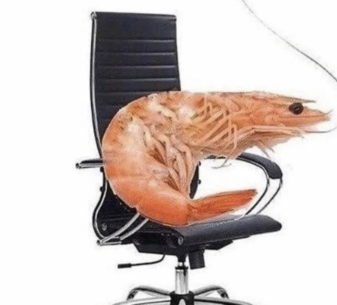 High Quality SHRIMP Blank Meme Template