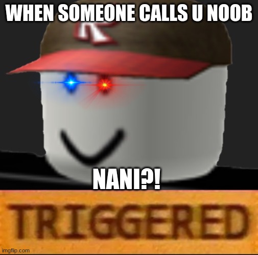 Roblox Triggered | WHEN SOMEONE CALLS U NOOB; NANI?! | image tagged in roblox triggered | made w/ Imgflip meme maker