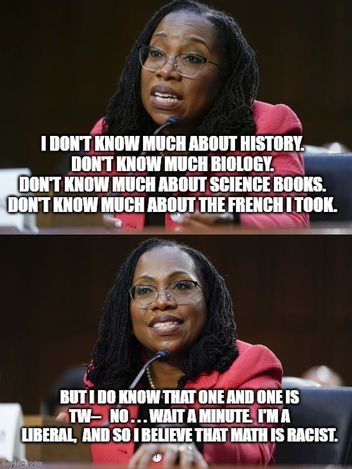 The song was running through my mind, and so I couldn't resist. | image tagged in what liberals know | made w/ Imgflip meme maker