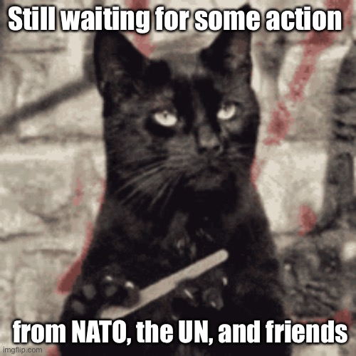 Still waiting | Still waiting for some action; from NATO, the UN, and friends | image tagged in ukraine | made w/ Imgflip meme maker