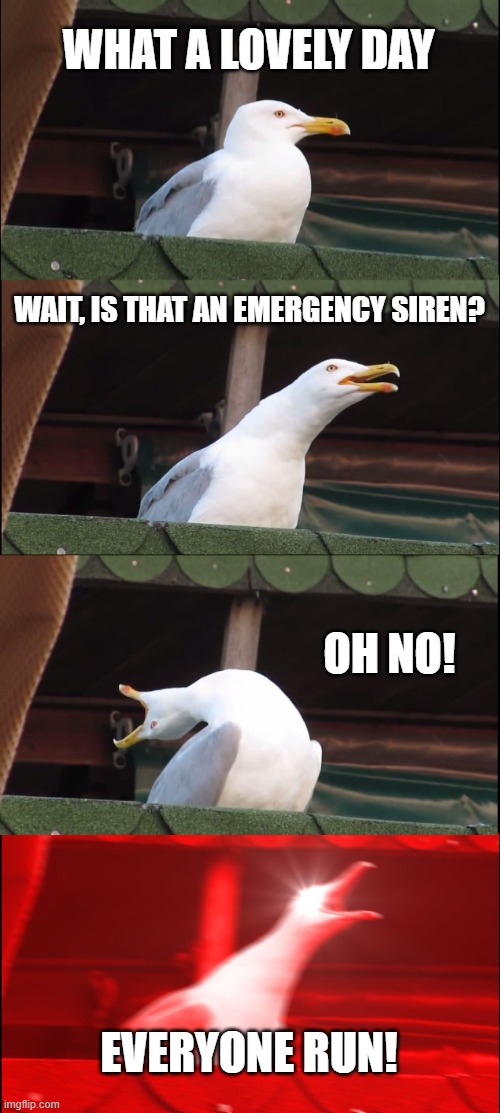 Panic Seagull |  WHAT A LOVELY DAY; WAIT, IS THAT AN EMERGENCY SIREN? OH NO! EVERYONE RUN! | image tagged in memes,inhaling seagull,panic,emergency,danger,warning | made w/ Imgflip meme maker