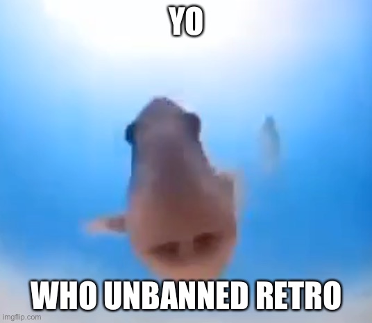 Fish | YO; WHO UNBANNED RETRO | image tagged in fish | made w/ Imgflip meme maker