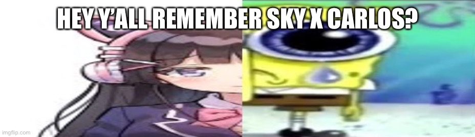 lol | HEY Y’ALL REMEMBER SKY X CARLOS? | image tagged in lol | made w/ Imgflip meme maker