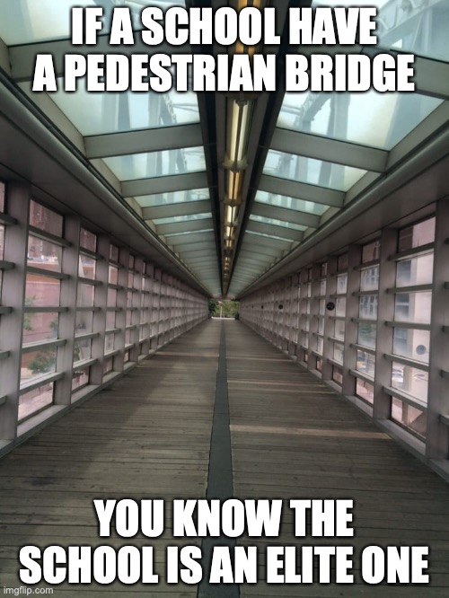 School Pedestrian Bridge | IF A SCHOOL HAVE A PEDESTRIAN BRIDGE; YOU KNOW THE SCHOOL IS AN ELITE ONE | image tagged in bridge,school,memes | made w/ Imgflip meme maker