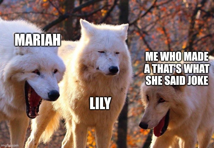 2/3 wolves laugh | MARIAH; ME WHO MADE A THAT'S WHAT SHE SAID JOKE; LILY | image tagged in 2/3 wolves laugh | made w/ Imgflip meme maker
